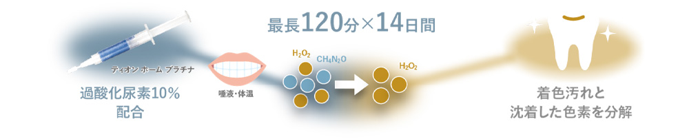 ティオンホームプラチナ
